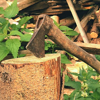 Bûcheron 02